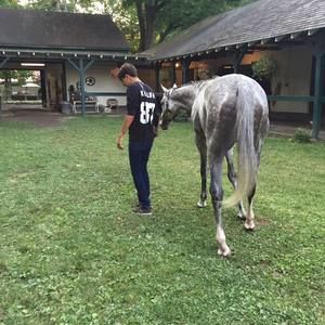 Meet your Posher, Nader